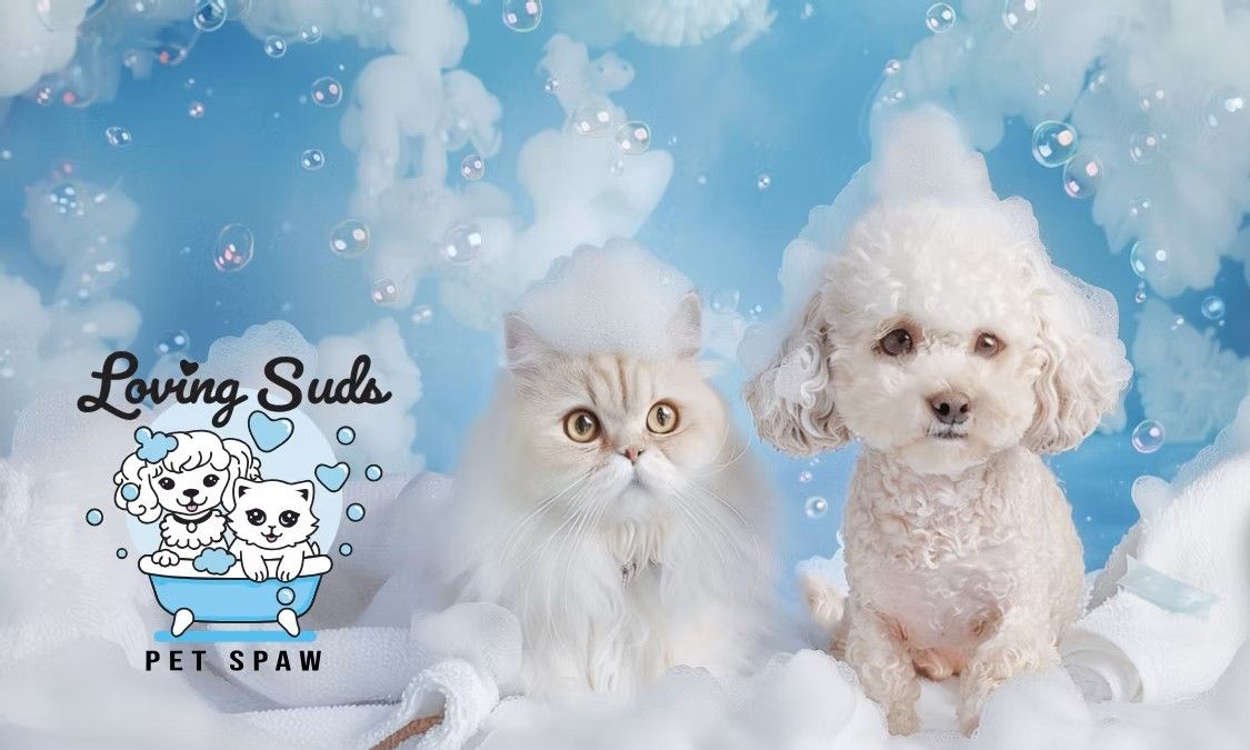 Loving Suds Pet Spaw brand artwork with logo, a cat, and a poodle in bubbles